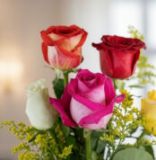 Primer plano extremo de un solitario de rosas multicolor con gotas de rocío, destacando texturas hiperrealistas y colores vib